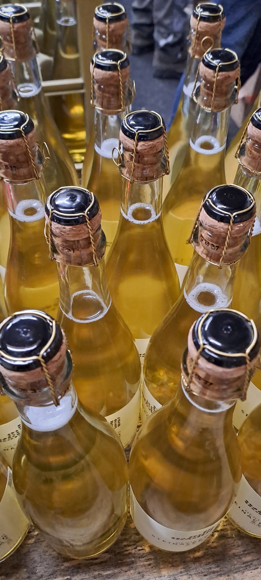 Abfüllung des Nobling Sekts Jahrgang 2017