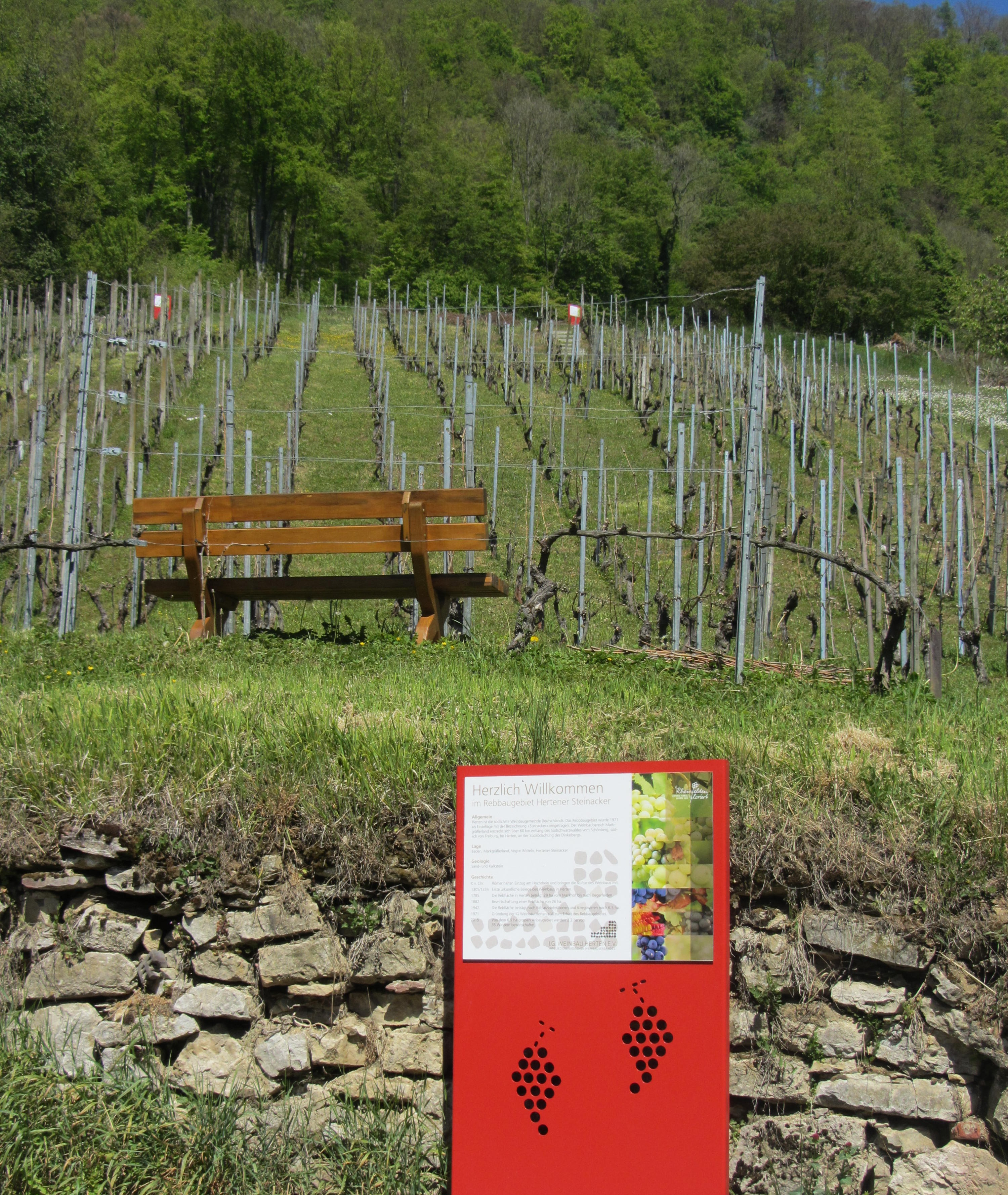 Weinberg Steinacker Herten